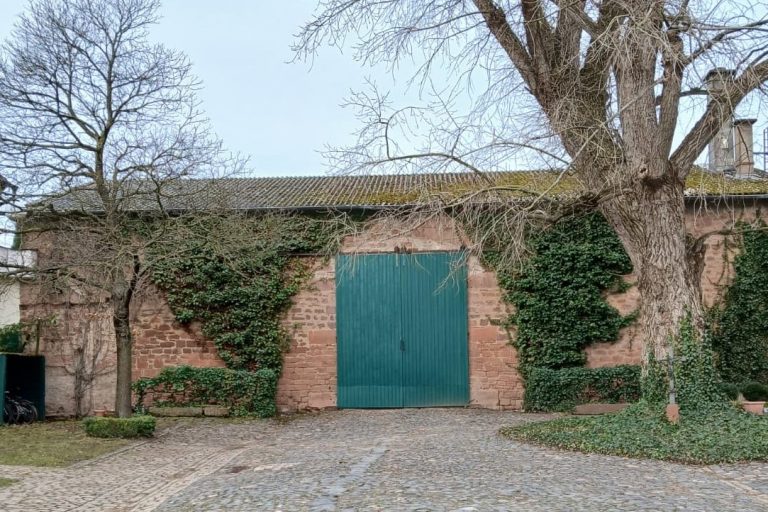 grünes Scheunentor auf dem Hofgut Habitzheim